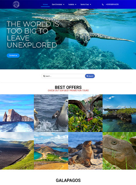 Image hover effect image