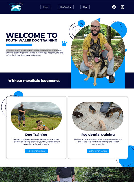 Image hover effect image